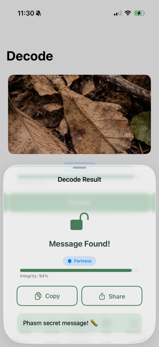 Phasm: Steganography Screenshot 3 of 5