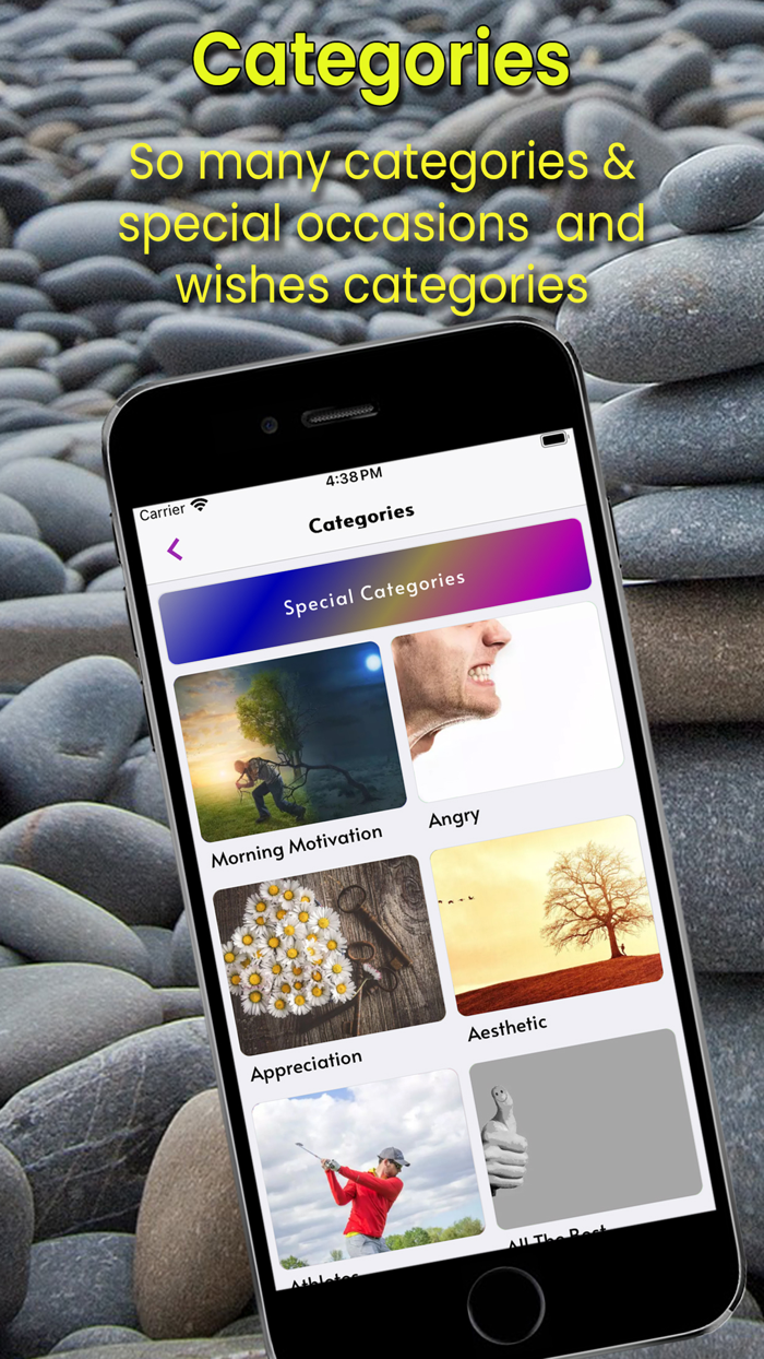 Motivation - 365 Daily Quotes