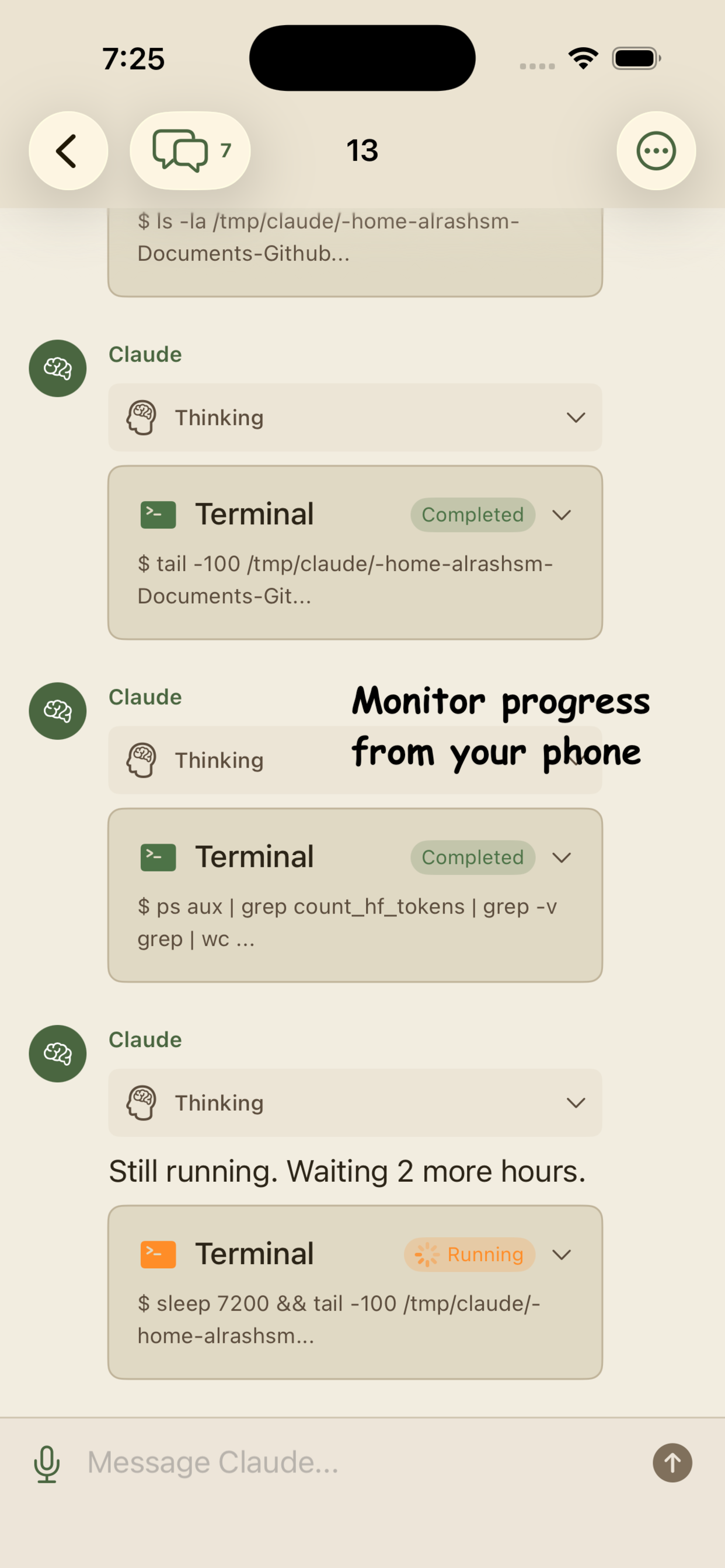 Unofficial Claude Code Client
