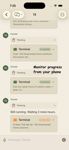 Unofficial Claude Code Client screenshot