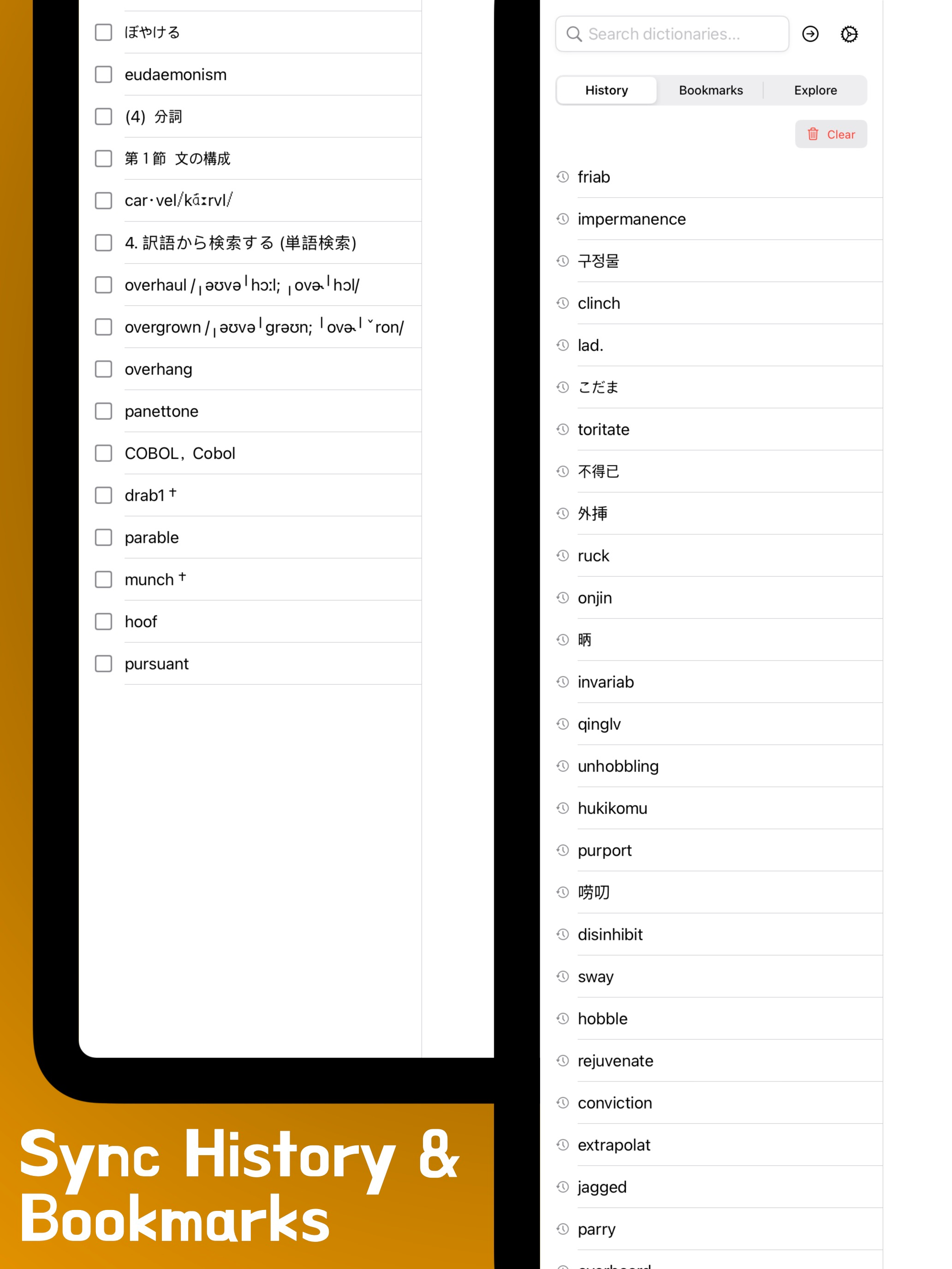 1secDic: MDict/EPWING Reader screenshot 14