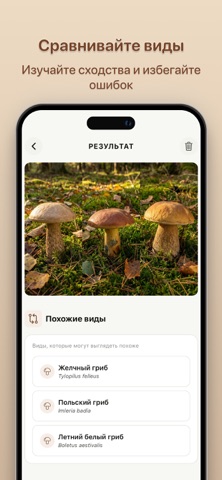 Грибы: Определитель iPhone screenshot 4