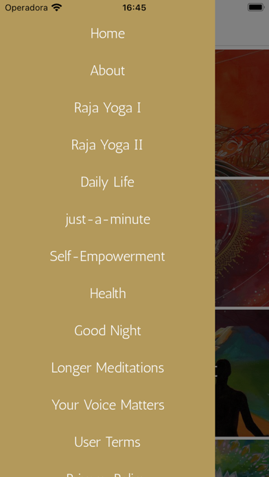 Raja Yoga Meditations Screenshot