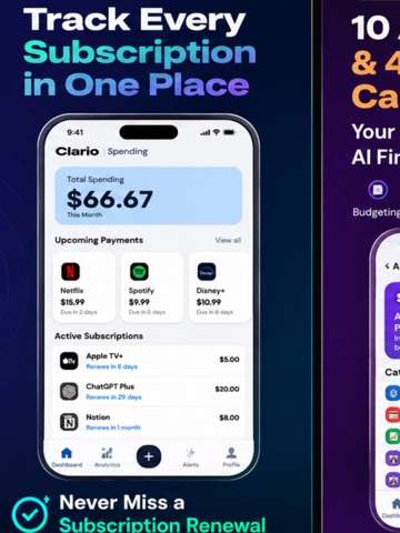 Clario: AI Finance Assistant iPad screenshot