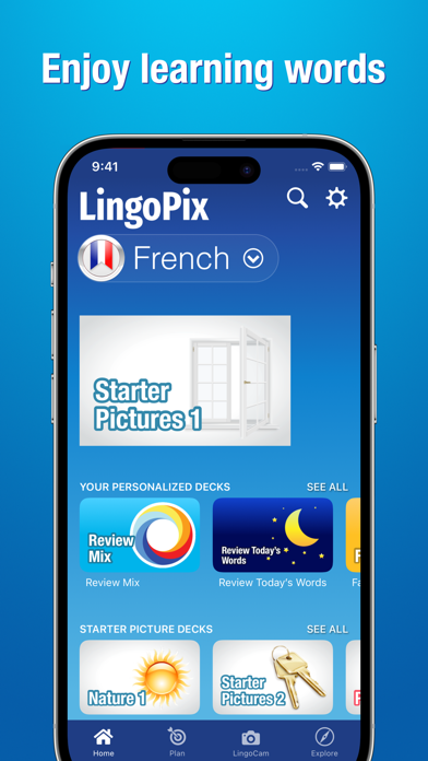 LingoPix Screenshot