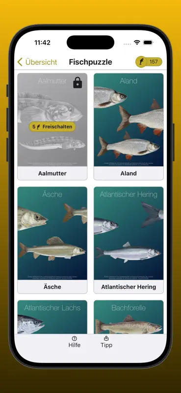 Fischer Fragen Sachsen-Anhalt screenshot 9 of 10