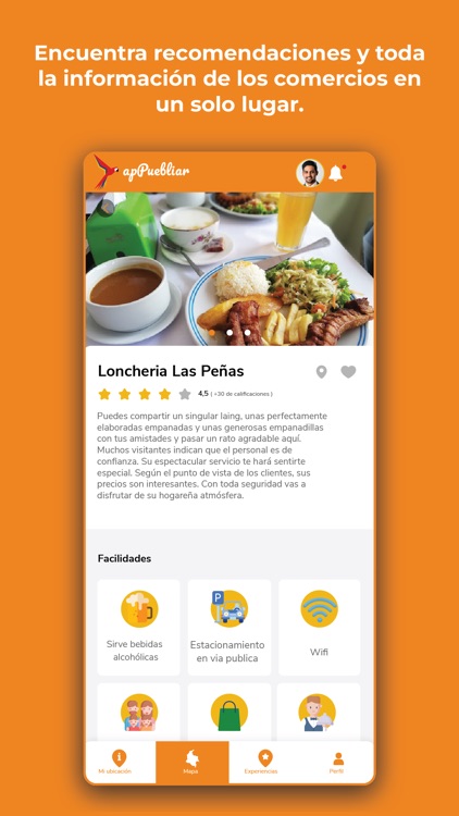 apPuebliar screenshot-4