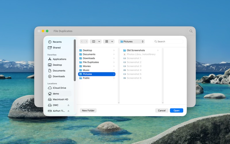 File Duplicates screenshot