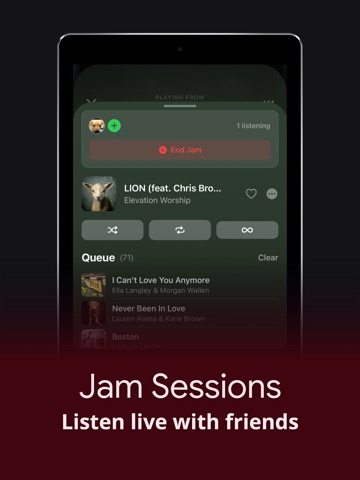 Eclipse Music iPad screenshot