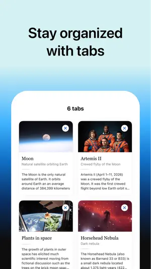 Wikipedia screenshot 2