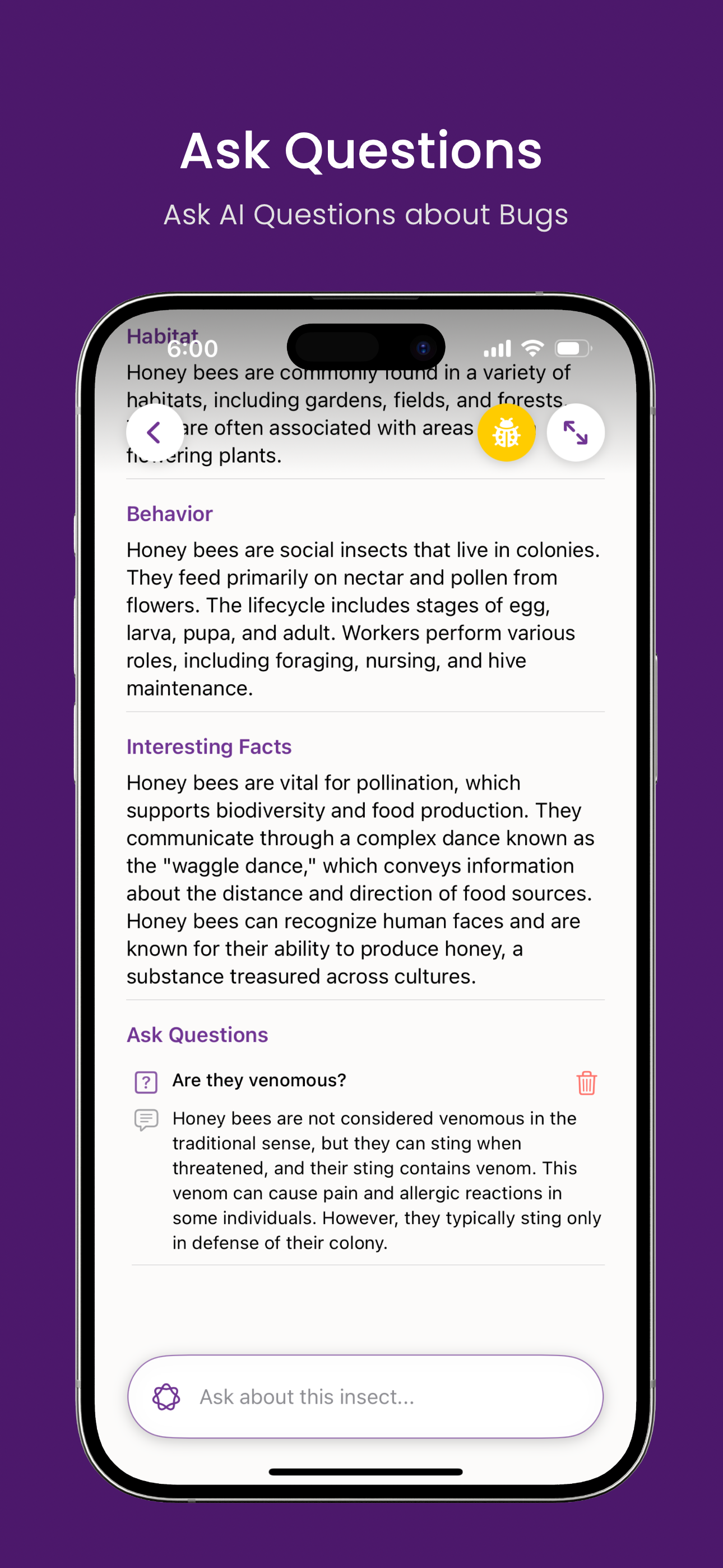 Bug Identifier AI: Insect ID screenshot 3
