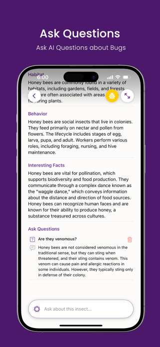 Bug Identifier AI: Insect ID Screenshot 3 of 4