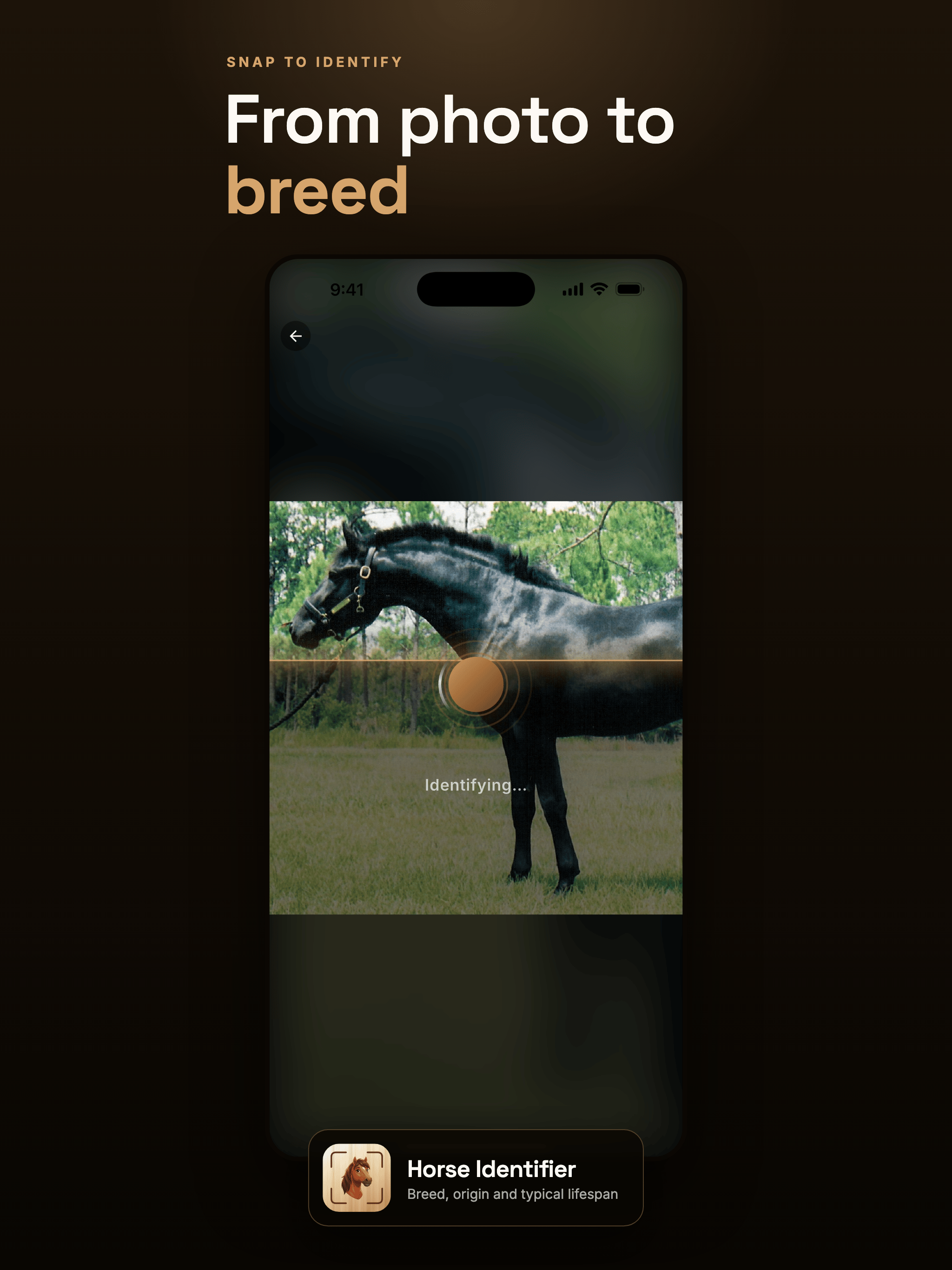 Horse Identifier & Breed ID screenshot 12