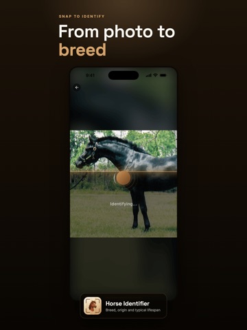 Horse Identifier & Breed ID iPad screenshot
