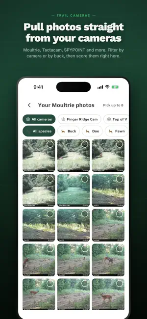 rackline.ai - AI Deer Scoring screenshot 2