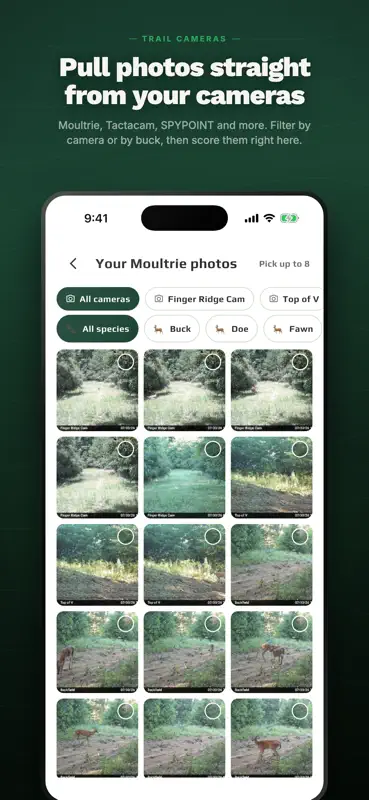 rackline.ai - AI Deer Scoring screenshot 2 of 9