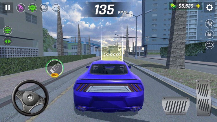 Real Car Racing Highway Drive screenshot-4