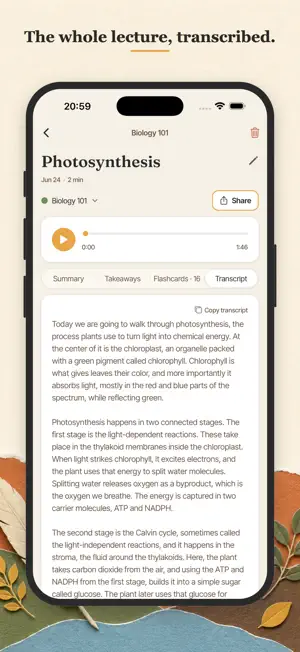 Polmi: Lecture Transcription screenshot 2