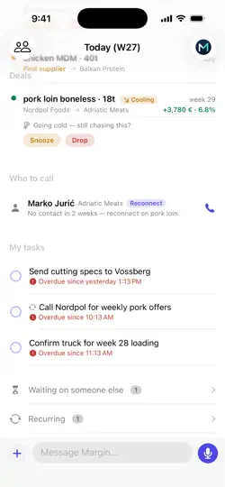 Screenshot von Margin AI auf dem iPhone 4