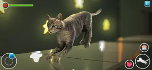 Prison Cat : Escape Animal screenshot 4