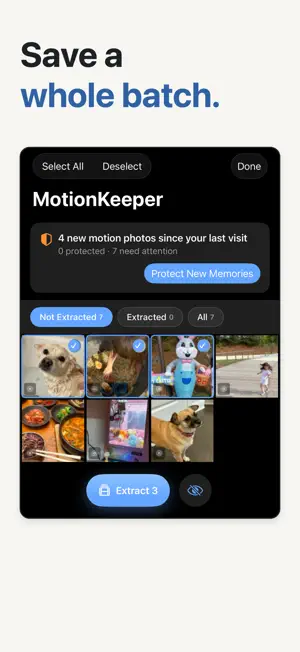 Motion: Live Photo to Video screenshot 3
