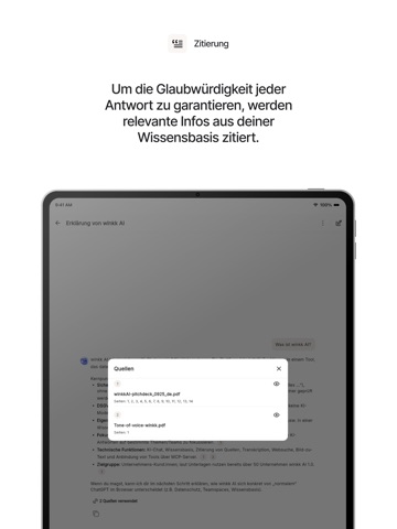 winkk AI iPad screenshot