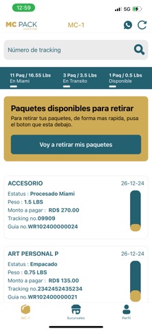 MCPACK screenshot