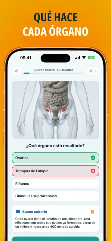 Anatomía: test de anatomía screenshot 2 of 9