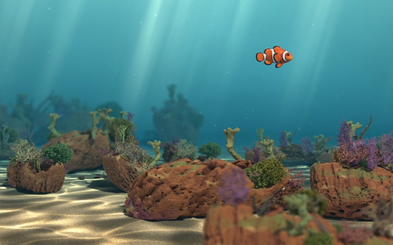Fish Ocean: Aquarium Wallpaper screenshot 4