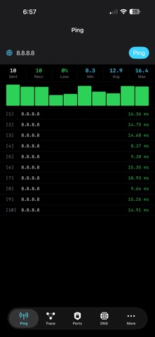 NetSleuth screenshot