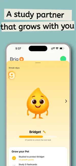 Brigo - AI Tutor for Exam Prep screenshot 4