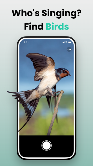 Picture & Ask: Pocket Expert Screenshot