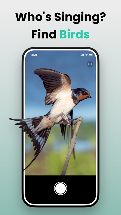 Picture & Ask: Pocket Expert screenshot-3