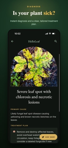 HelloLeaf screenshot