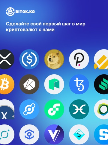 Bitok iPad screenshot