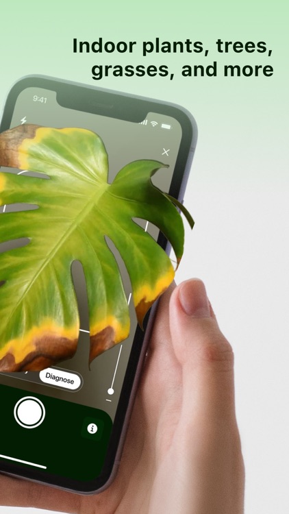 Plantzy - Plant Identifier