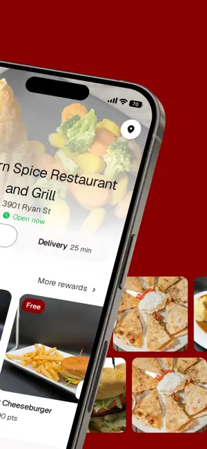 Southern Spice To Go screenshot 2