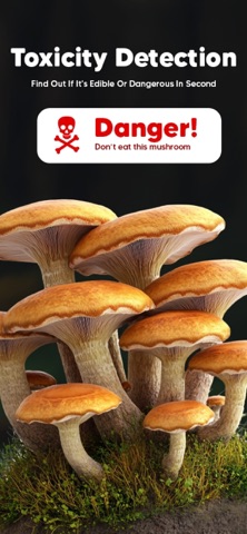 Mushroom Identifier : Fungis iPhone screenshot