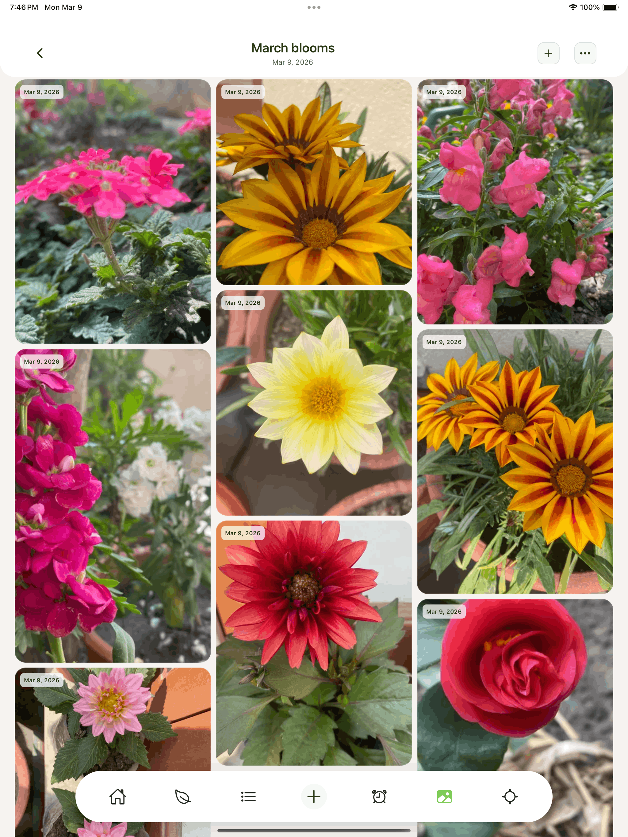 Verdora : Plant Care Reminders