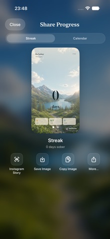 MeSober iPhone screenshot