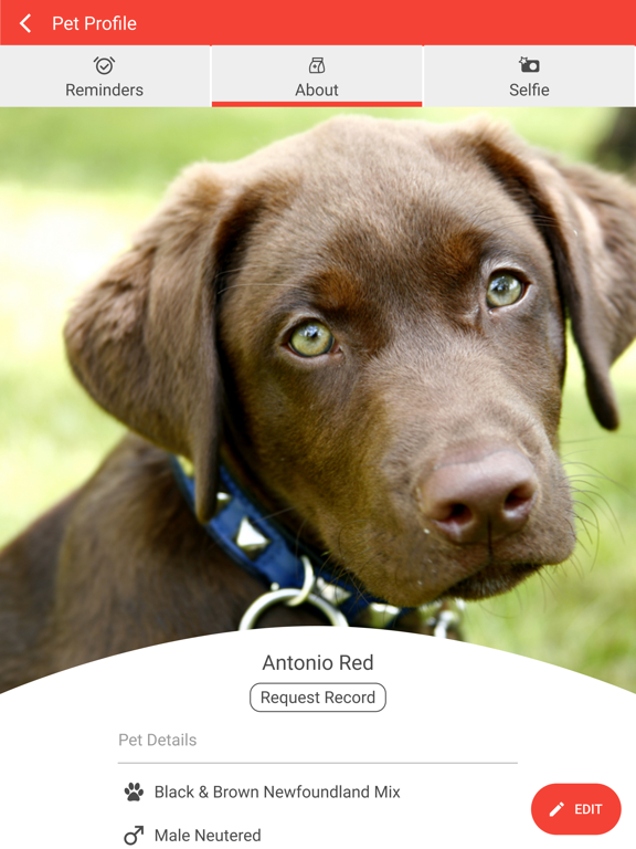 Cooper County Animal Hospital iPad screenshot 3 - Business app