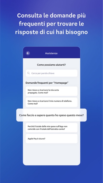 Nexi Pay Screenshot