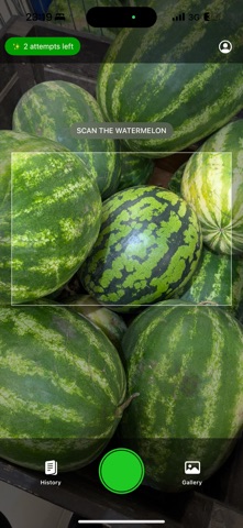 RipeMelon: Watermelon Analyzer screenshot