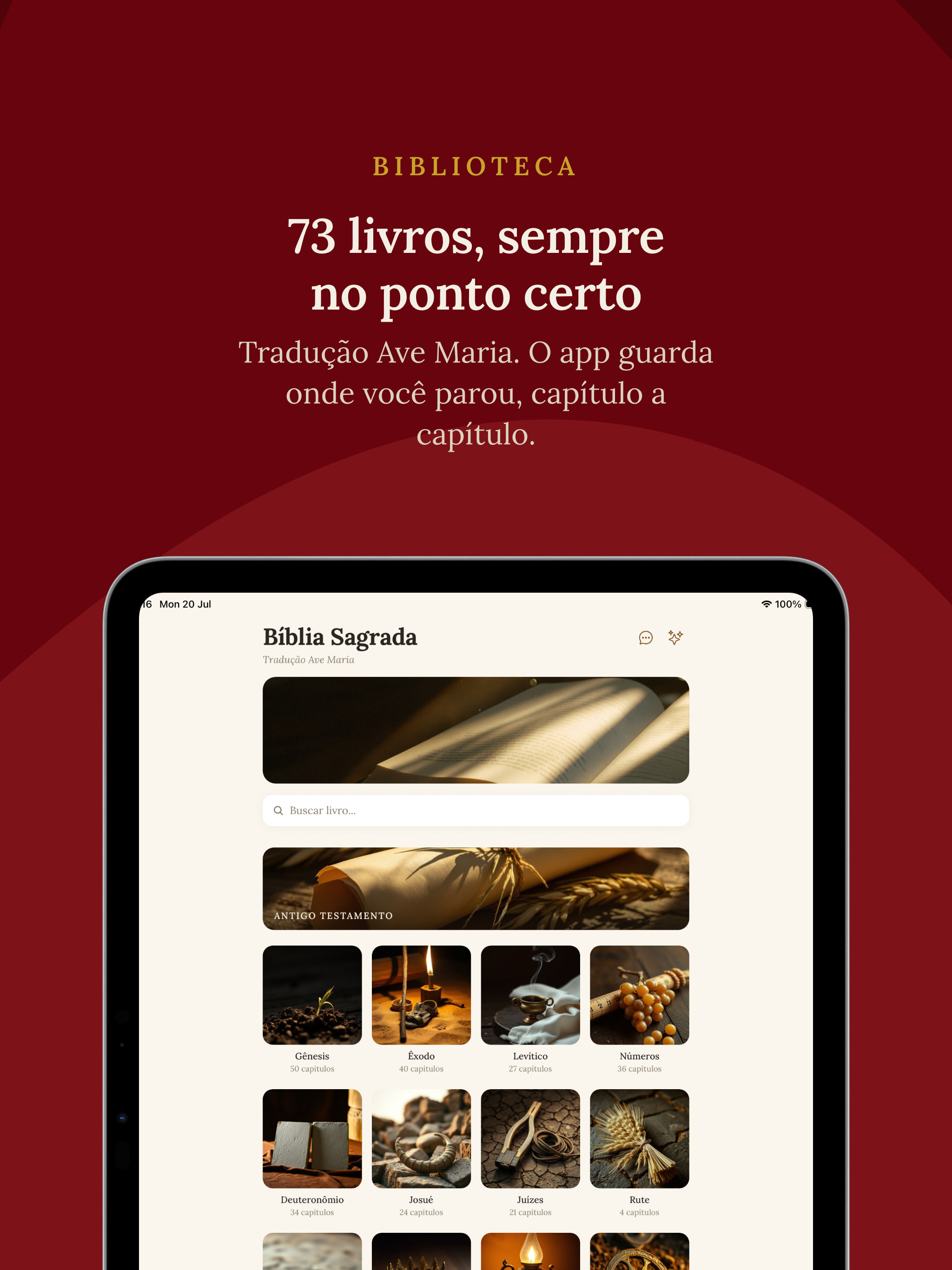 Bíblia Loyola: Católica grátis screenshot 14