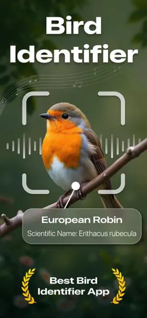 Bird Identifier AI ~ Sound ID screenshot 1