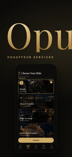Opulent Chauffeur screenshot 1