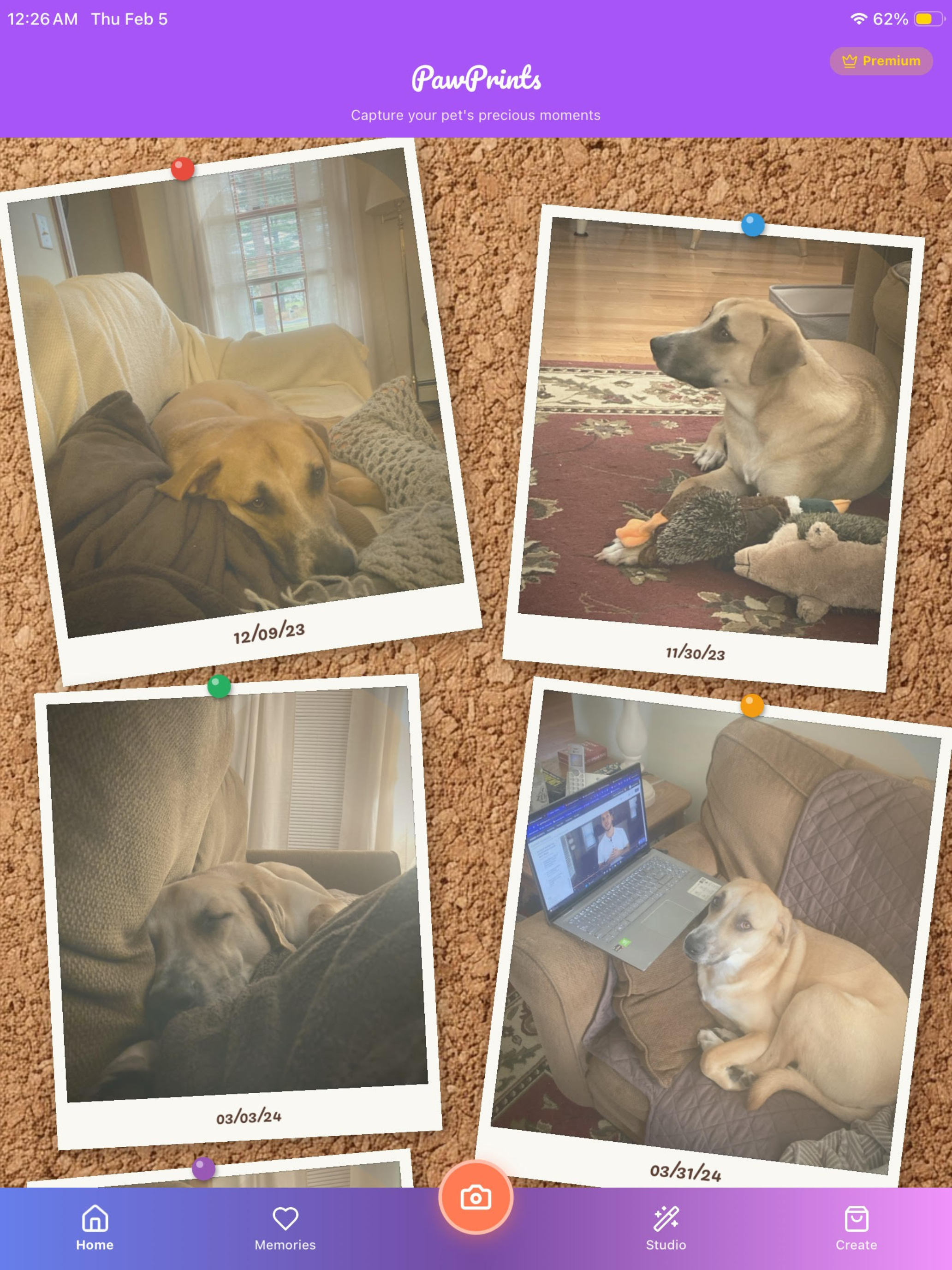 PawPrints Pet App