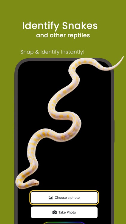 Snake ID - reptile identifier