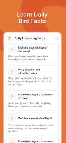 Bird Identifier: Scanner Guide iPhone screenshot