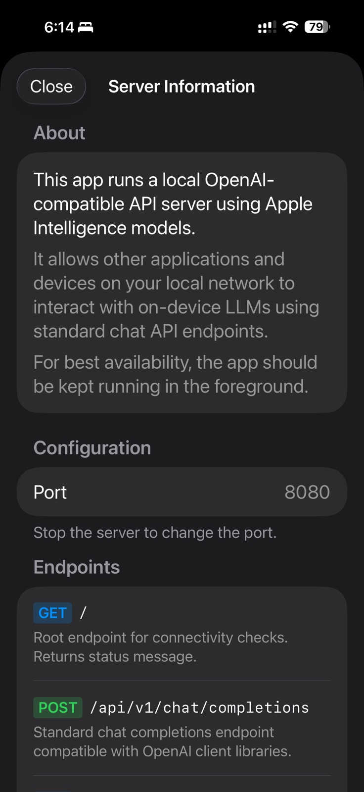 Local LLM Server iphone screenshot 4